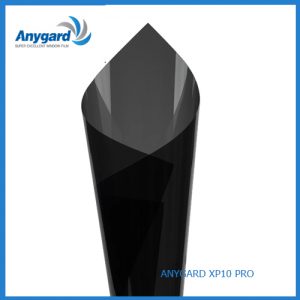 Anygard-XP10 PRO